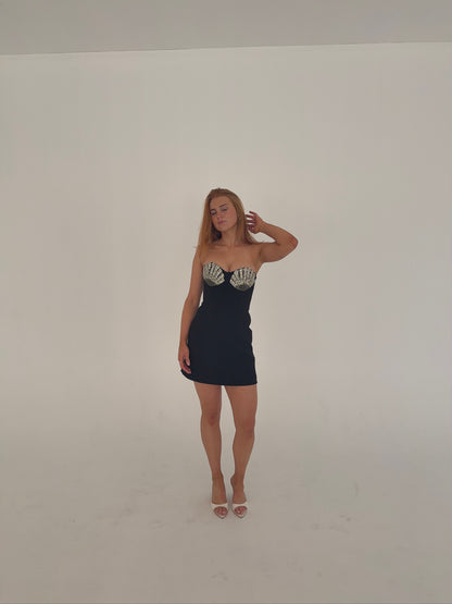 Rebecca Valance Cordelia Mini Dress