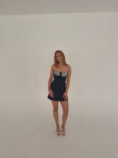 Rebecca Valance Cordelia Mini Dress