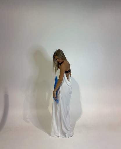 Rat and Boa Monroe Hibiscous